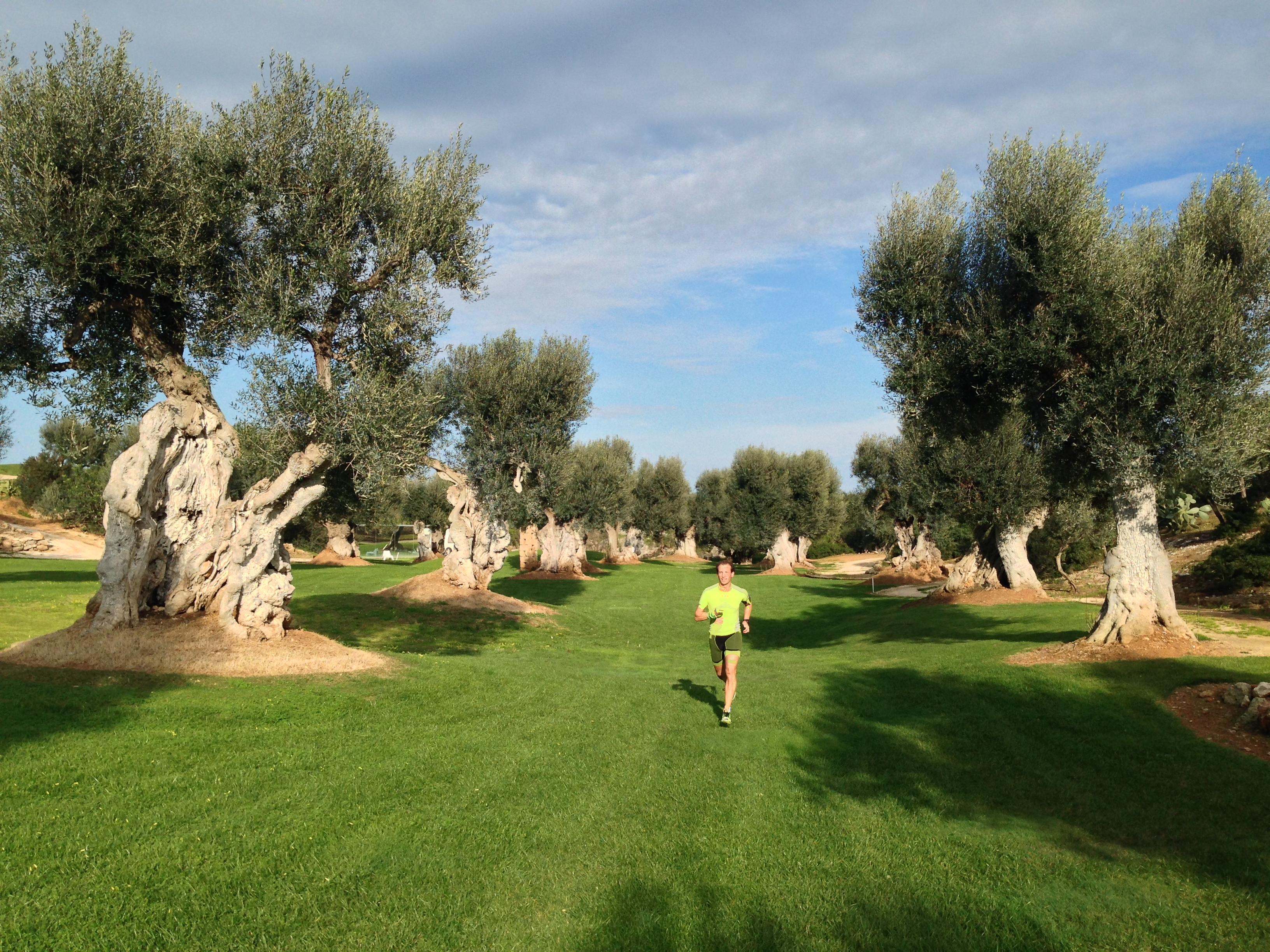 Rocco Forte Masseria Torre Maizza Savelletri Buitenkant foto